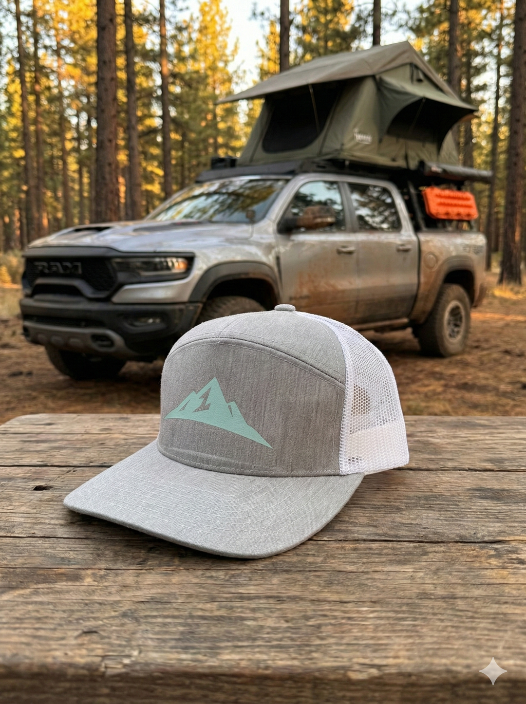 V8 Greig Cap Gray